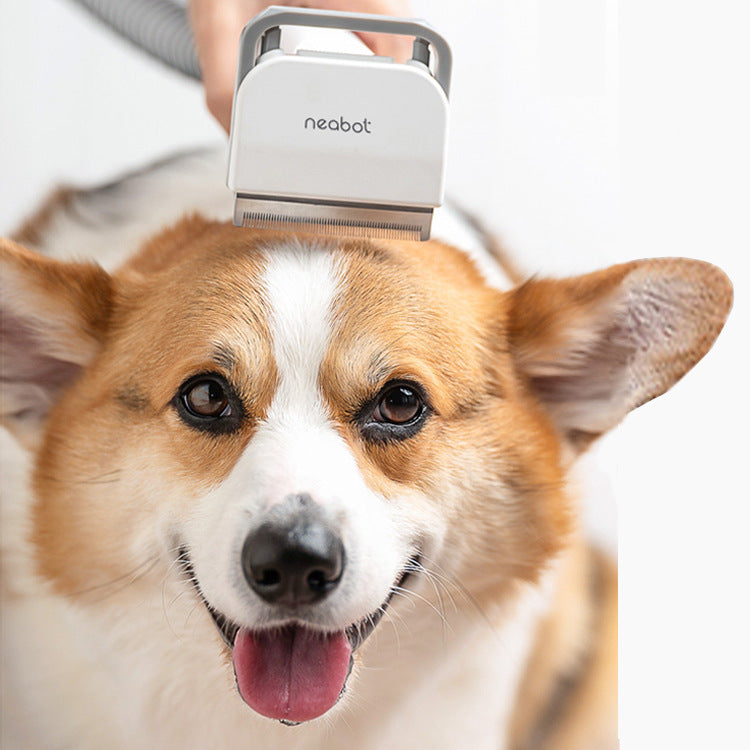 P1 GroomPro 3-in-1 Pet Grooming Device