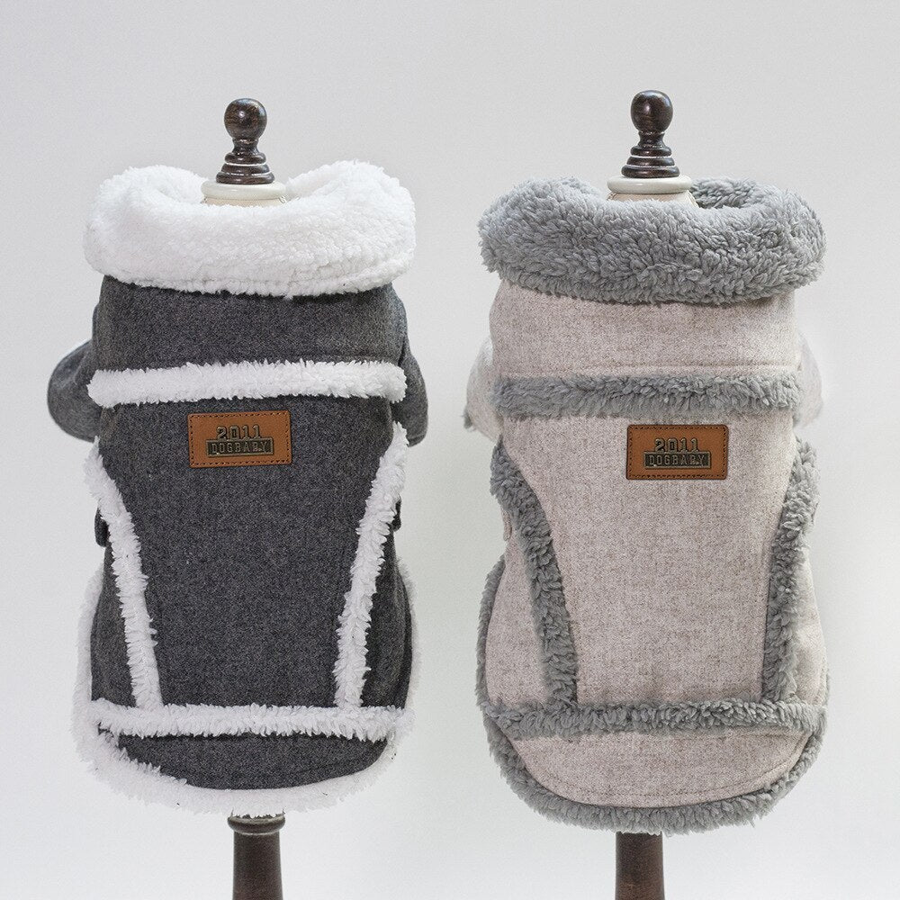 French Bulldog Jacket