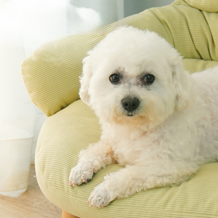 Four Seasons Universal Bed For pets