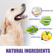 FreshBite Dental & Cleaning Wipes