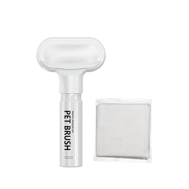 Pet Disposable Foam Magic Lint Comb