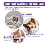 FreshBite Dental & Cleaning Wipes