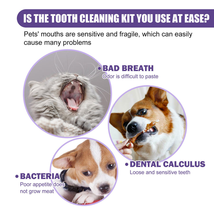 FreshBite Dental & Cleaning Wipes