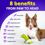 Dog Multivitamin Chewable