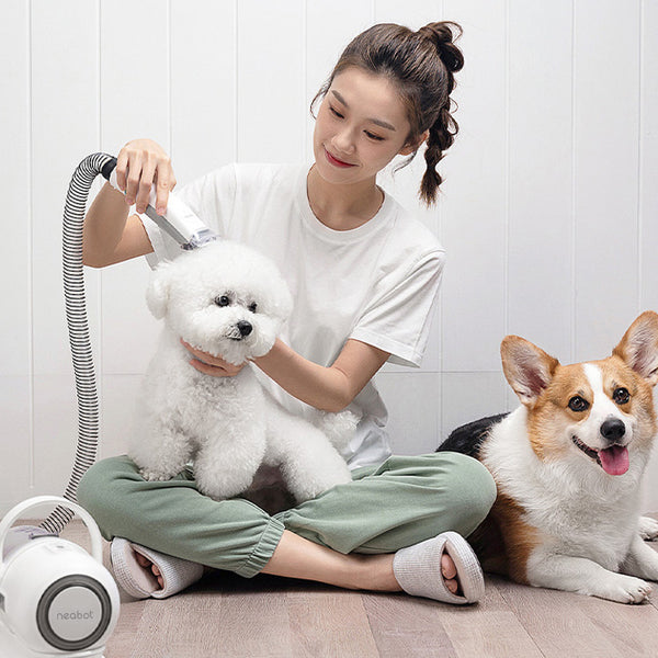 P1 GroomPro 3-in-1 Pet Grooming Device