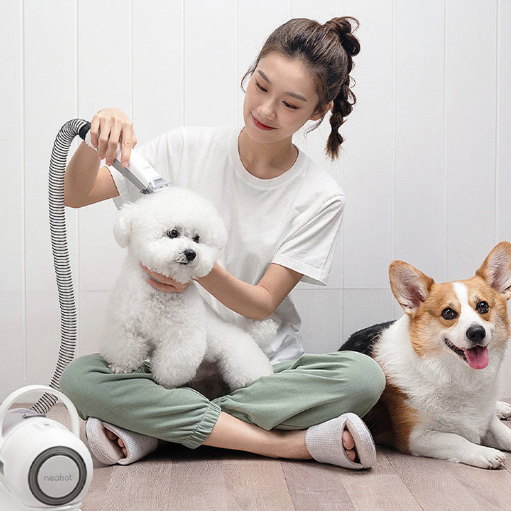 P1 GroomPro 3-in-1 Pet Grooming Device