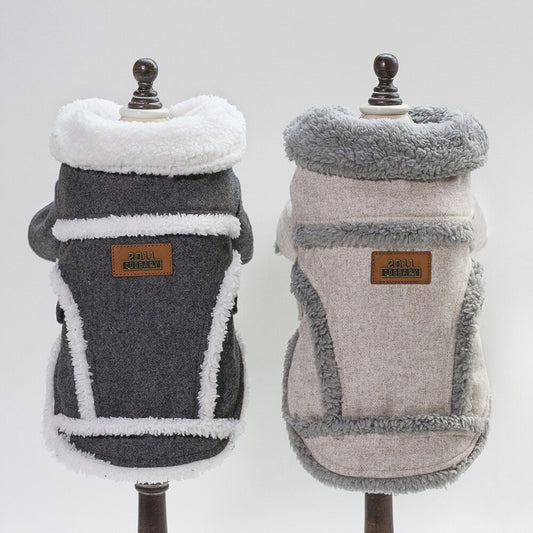 French Bulldog Jacket