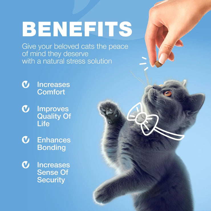 Cat Calming Treats Hemp Calming Care For Cats