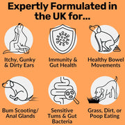 Dog Prebiotics Digestive Snacks Intestinal Health Pet Health Care Products