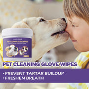 FreshBite Dental & Cleaning Wipes