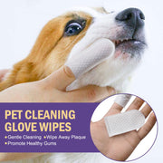 FreshBite Dental & Cleaning Wipes