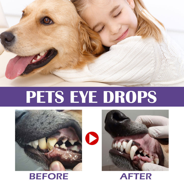 FreshBite Dental & Cleaning Wipes